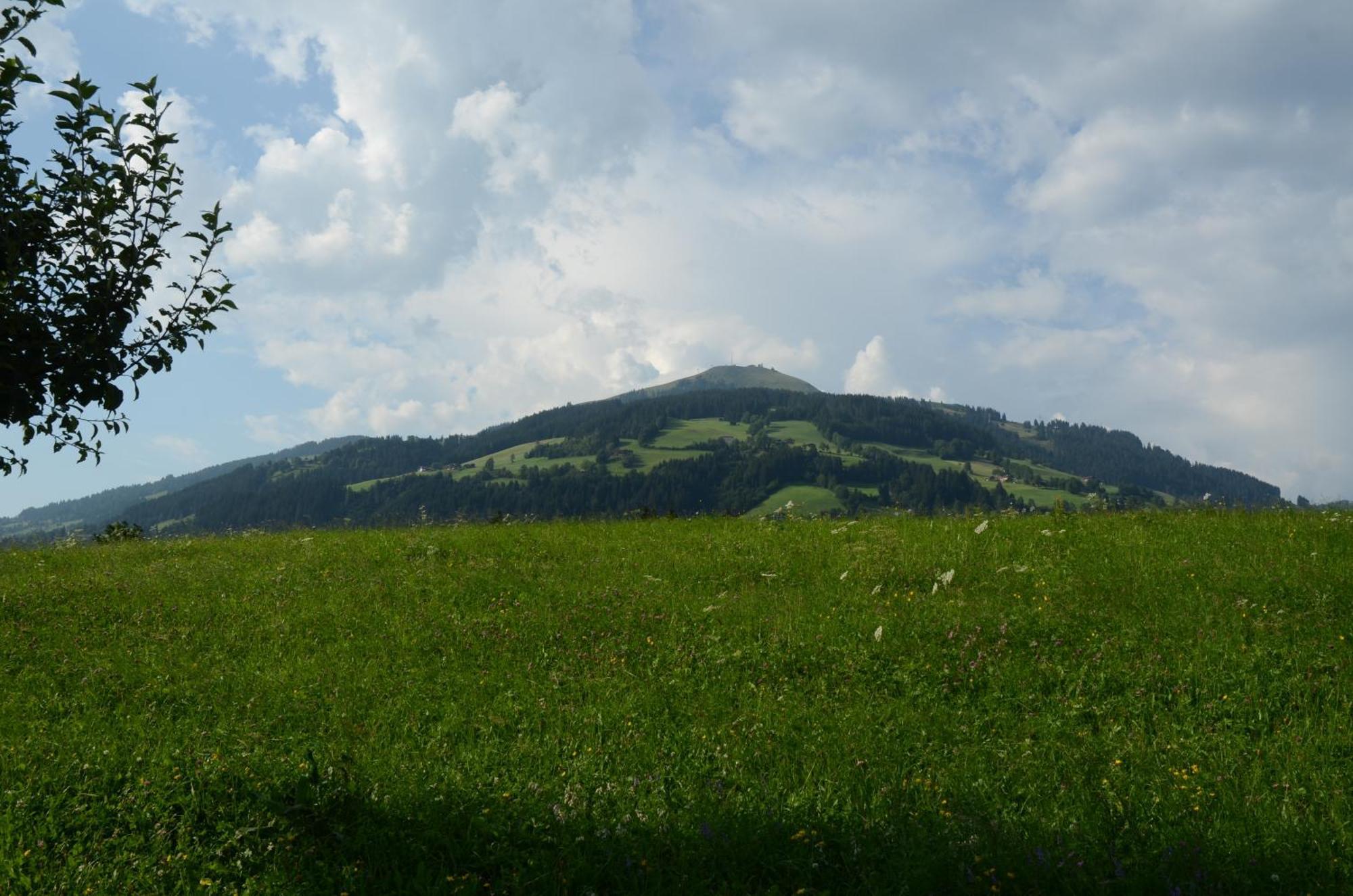Landhaus Lindner Westendorf Exteriör bild